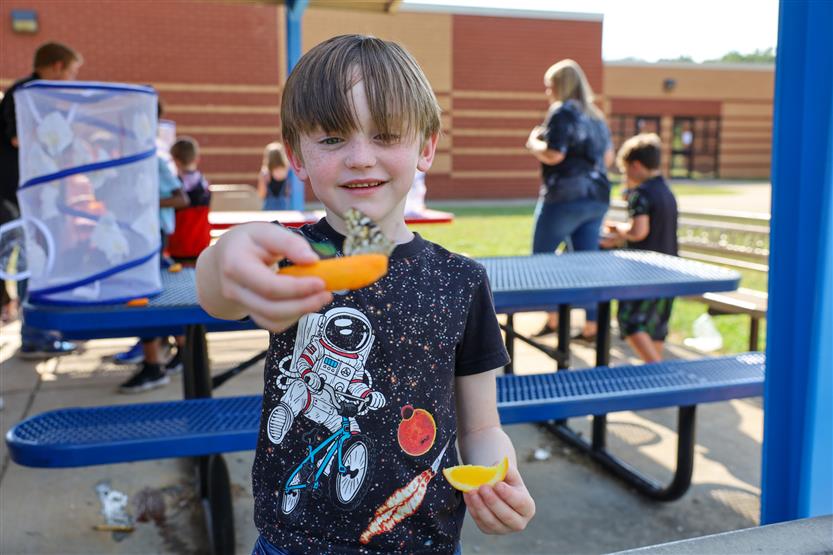 A boy with brown hair holds out an orange slice with a butterfly on it